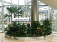 南昌綠植案例