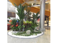 南昌綠植案例