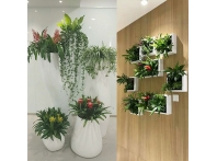 南昌綠植案例
