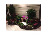南昌綠植案例